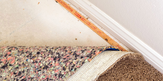 Carpet Removal (Novaks Solutions Group)